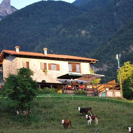 Rifugio Malga Grasia Caprizi 外观 照片