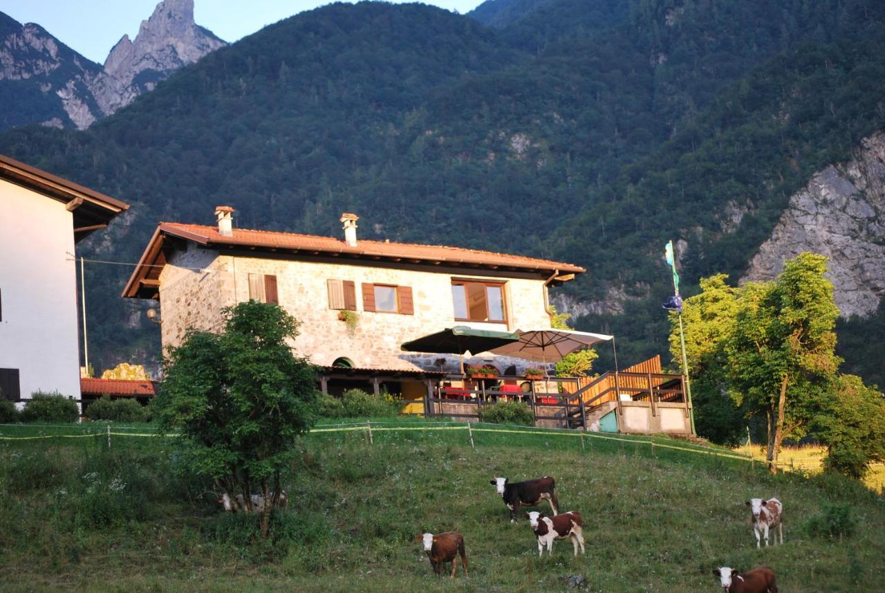 Rifugio Malga Grasia Caprizi 外观 照片