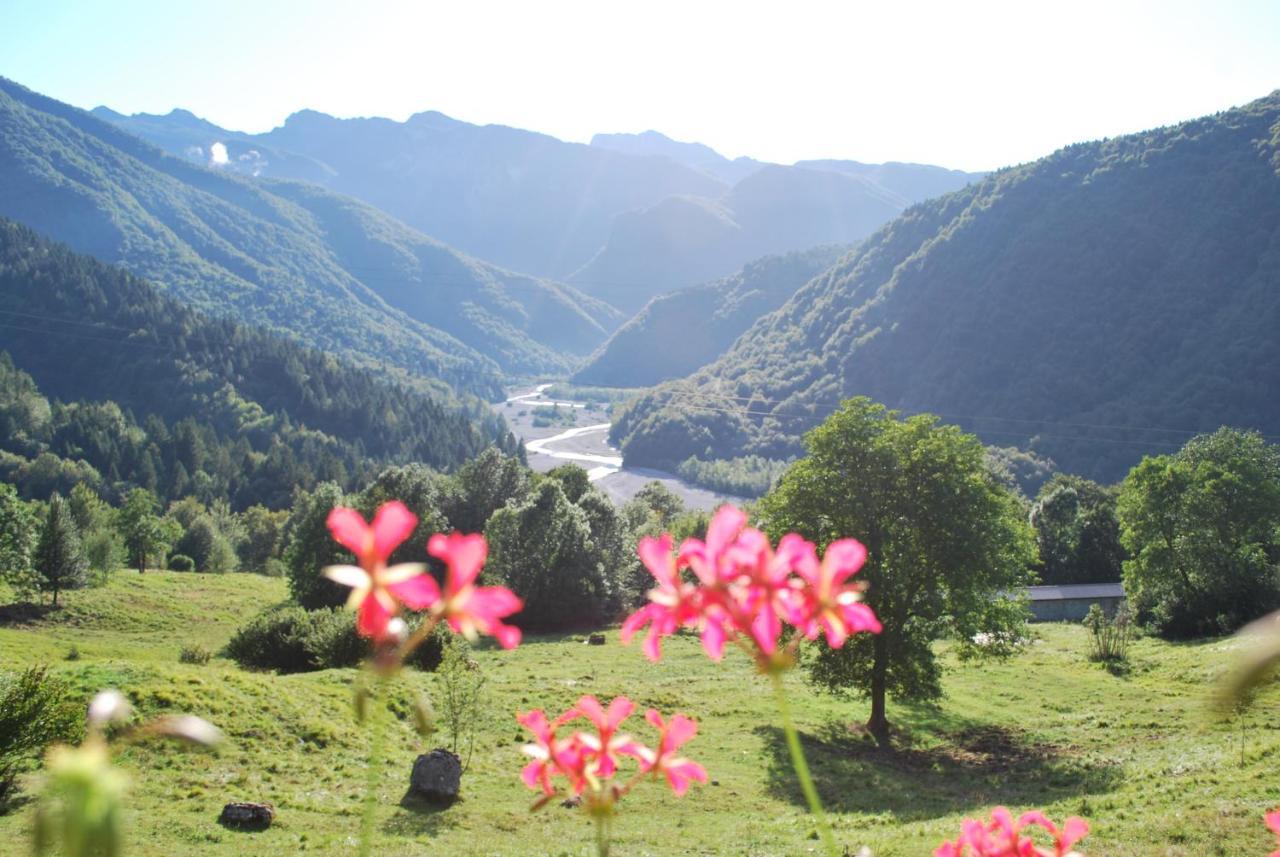 Rifugio Malga Grasia Caprizi 外观 照片