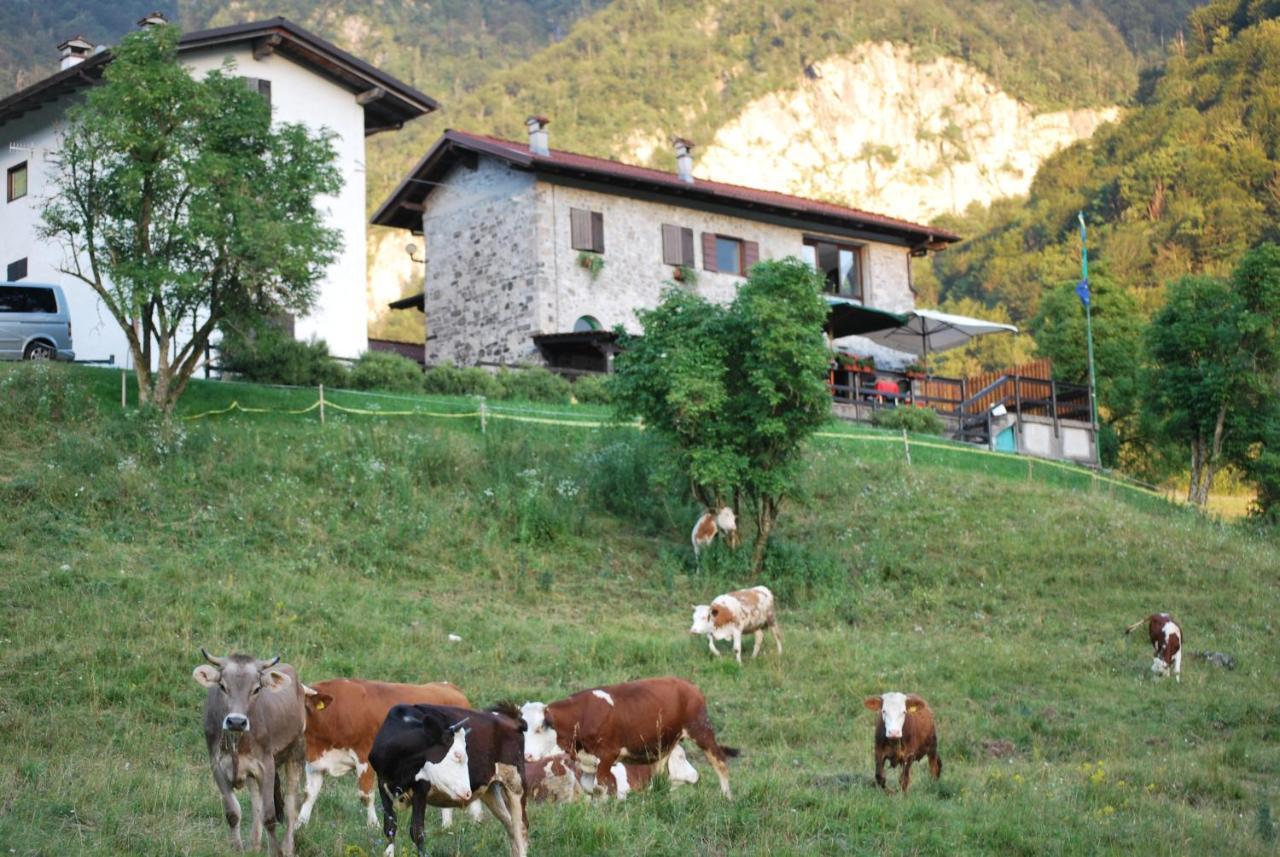 Rifugio Malga Grasia Caprizi 外观 照片