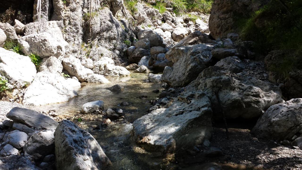 Rifugio Malga Grasia Caprizi 外观 照片