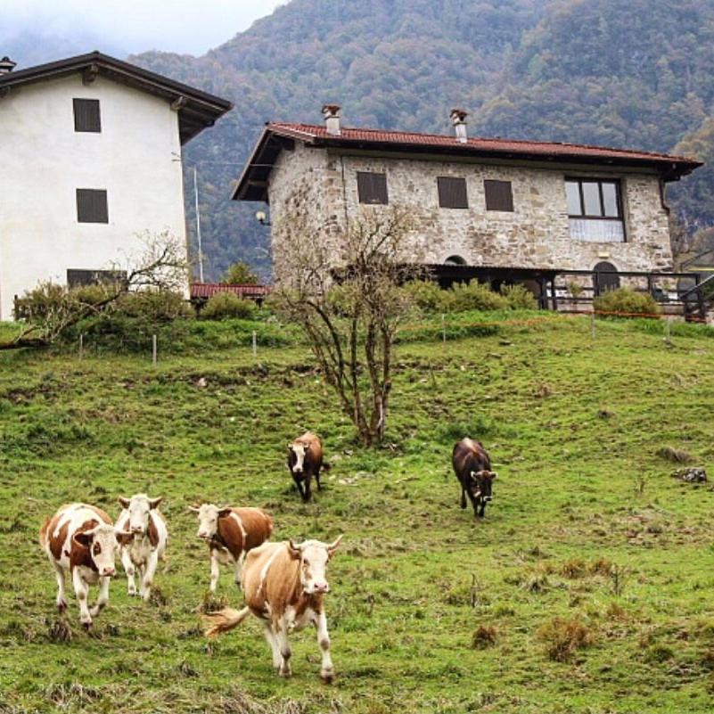 Rifugio Malga Grasia Caprizi 外观 照片